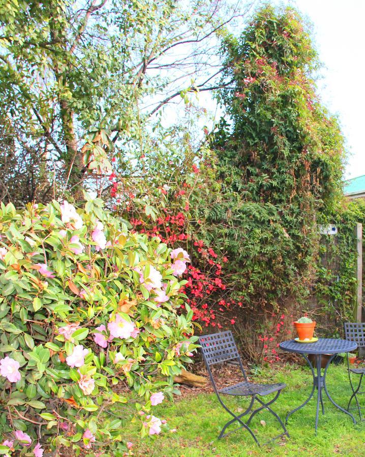 Bush Inn Court Motel Christchurch Kültér fotó