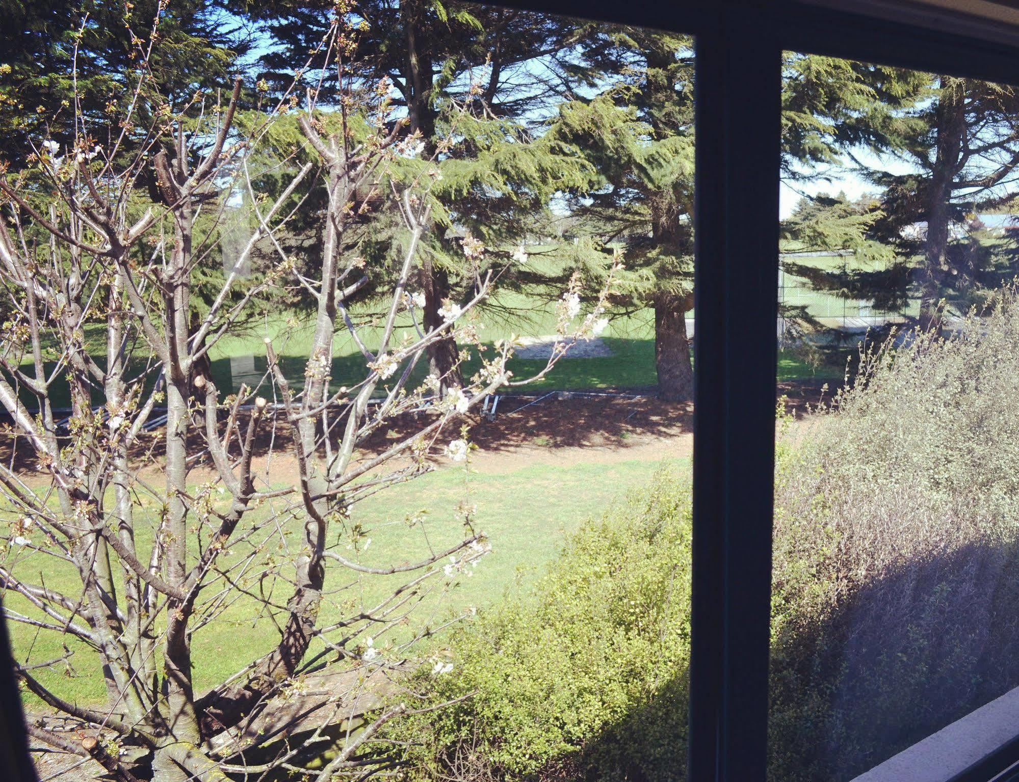 Bush Inn Court Motel Christchurch Kültér fotó